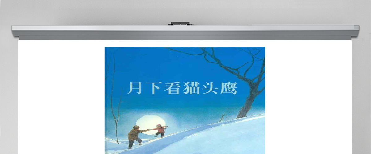 月下看猫头鹰绘本 月下看猫头鹰绘本