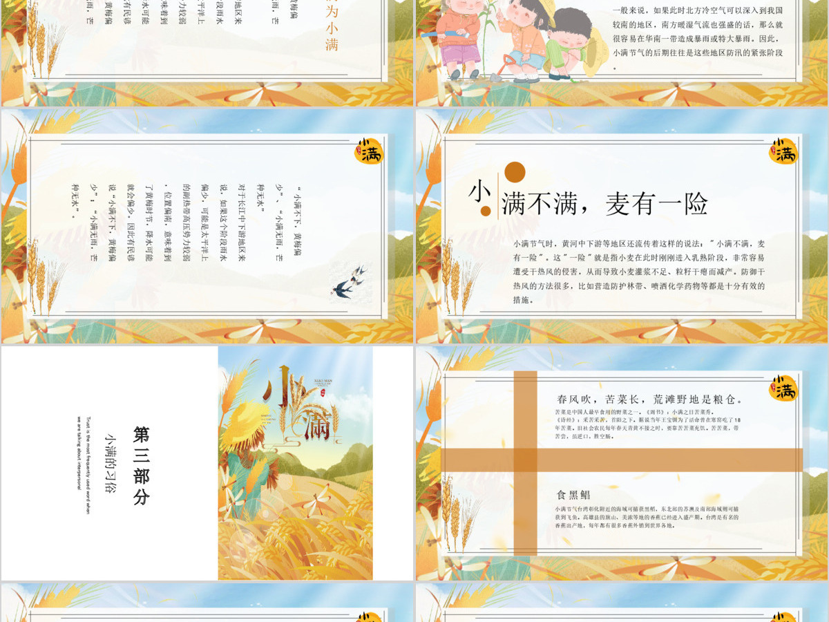 简约麦穗二十四节气之小满ppt模板