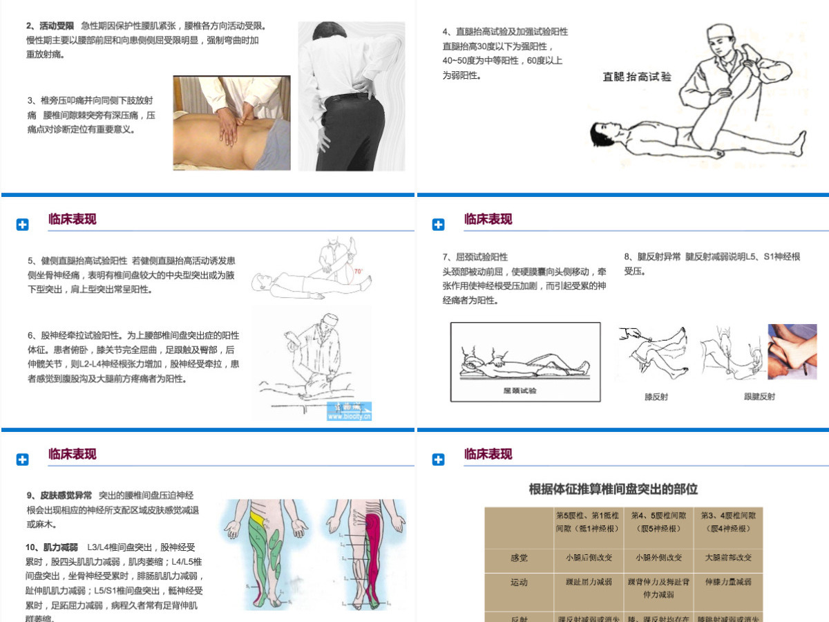 2022腰椎间盘突出症诊断与治疗清新商务医疗风医学通用PPT模板 2022腰椎间盘突出症诊断与治疗清新商务医疗风医学通用PPT模板