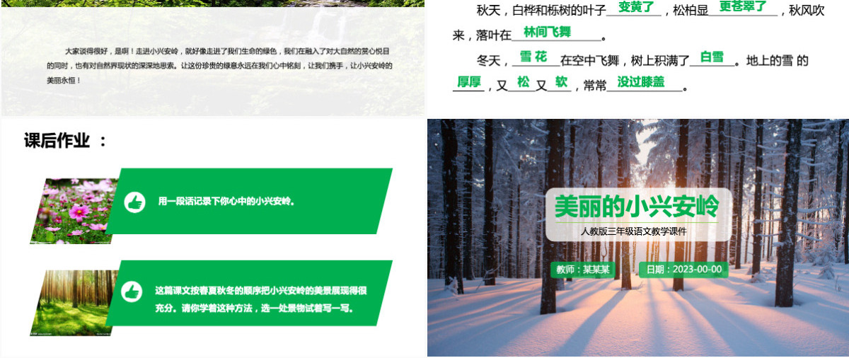 三年级语文美丽的小兴安岭课件PPT模板
