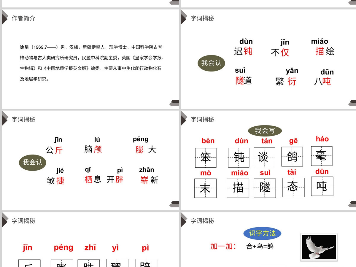 部编版四年级语文下册飞向蓝天的恐龙PPT课件