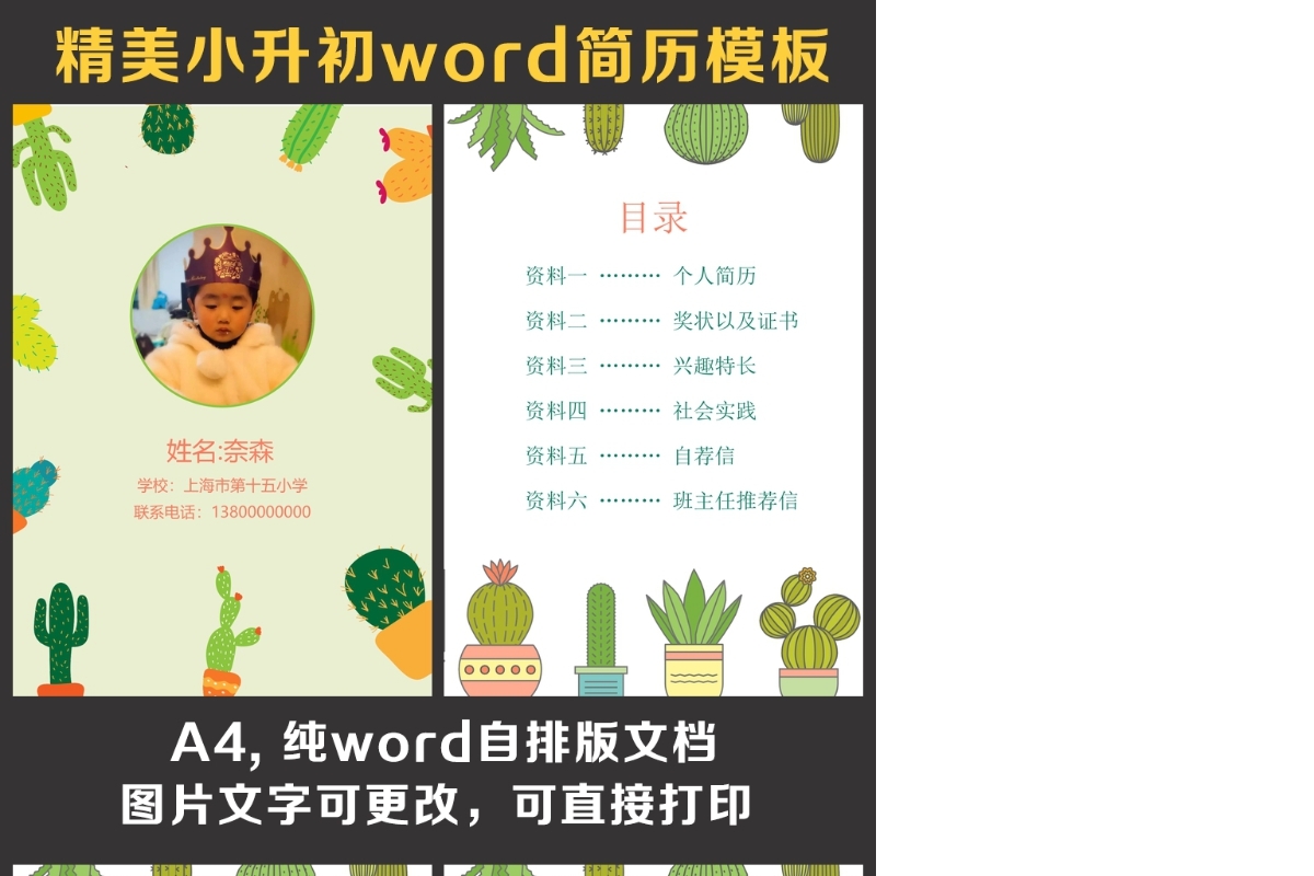 小升初简历