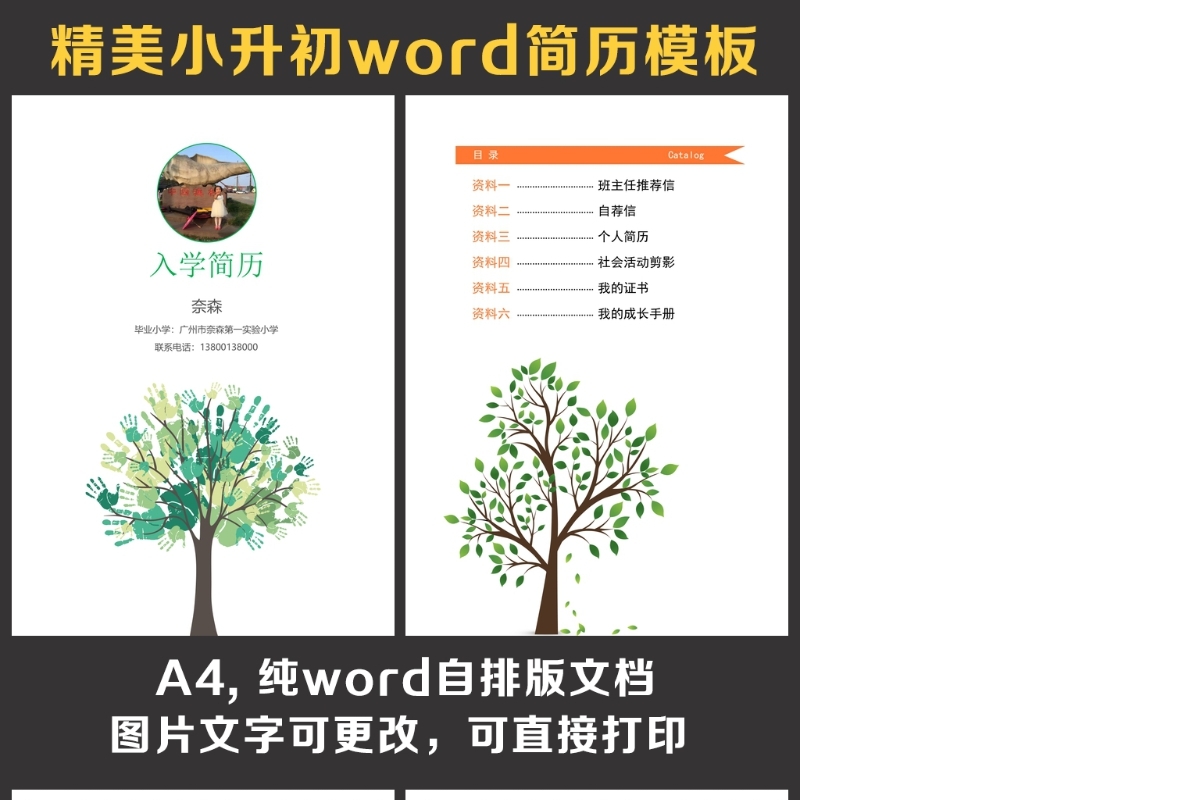 小升初简历