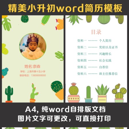 小升初简历