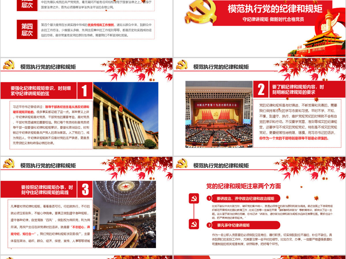 新时代合格党员守规矩讲纪律PPT模板