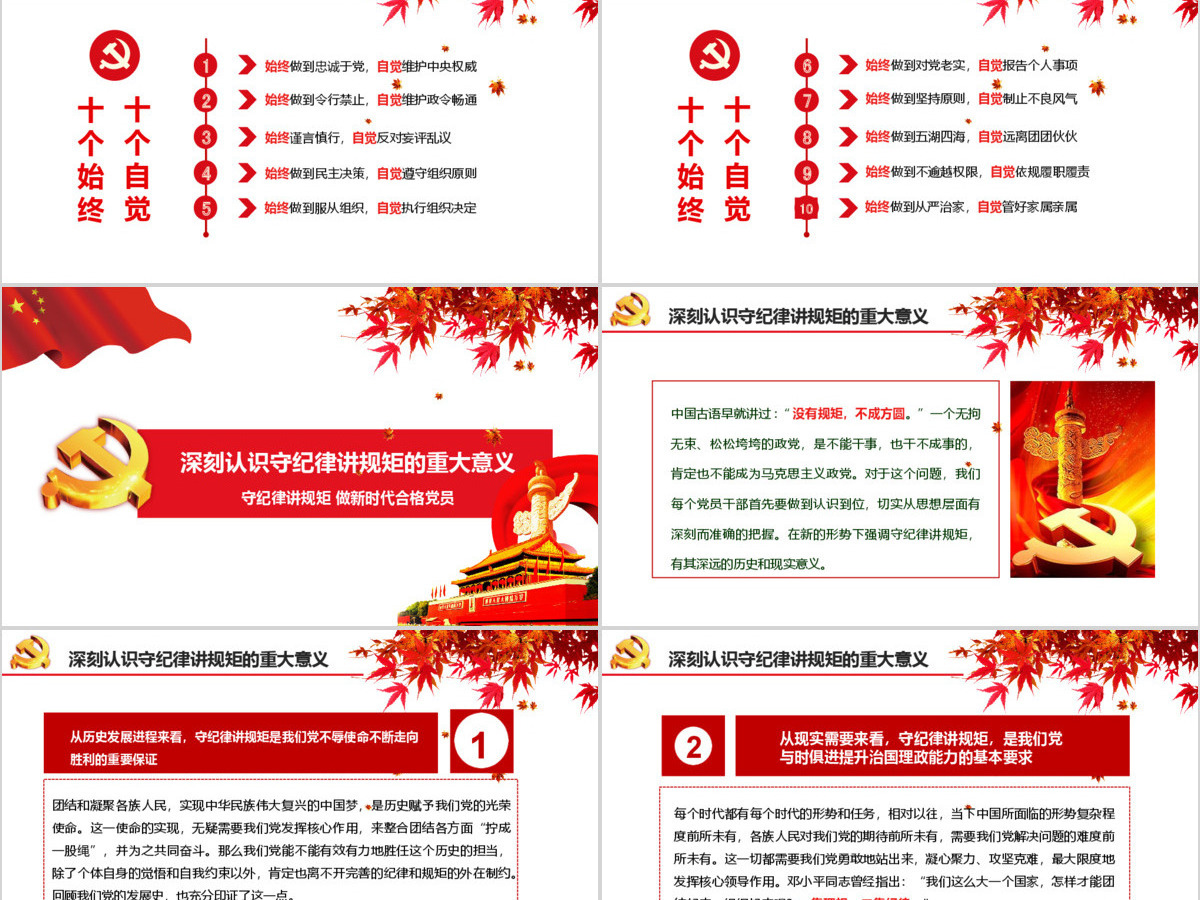 新时代合格党员守规矩讲纪律PPT模板