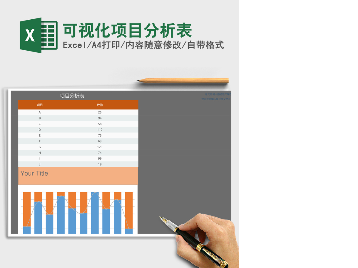 可视化项目分析表Excel表格 可视化项目分析表Excel表格