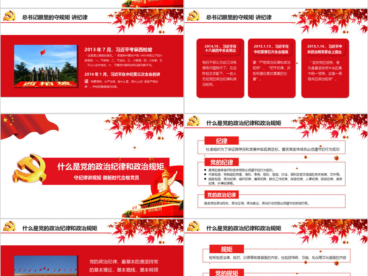 新时代合格党员守规矩讲纪律PPT模板