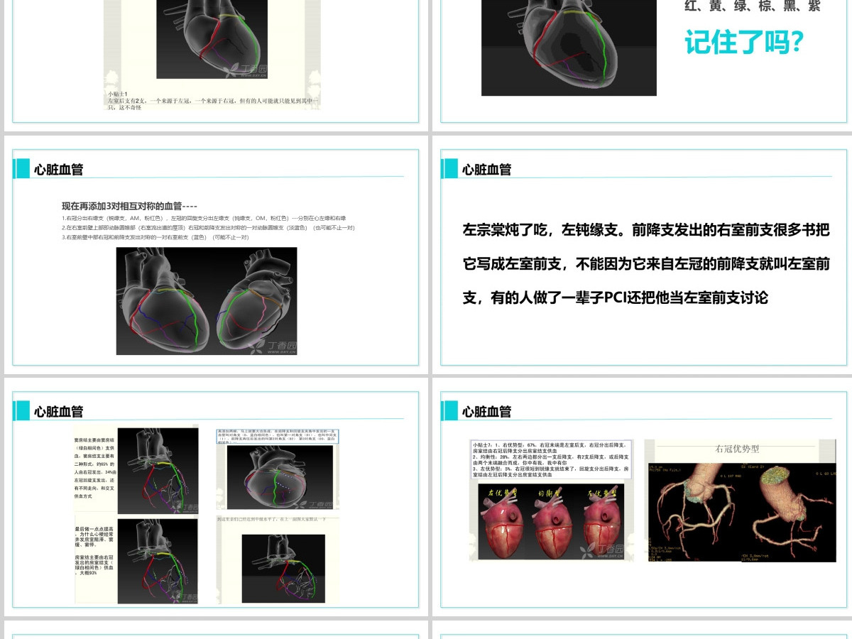 完整内容心脏健康医学解剖研究PPT模板素材下载 完整内容心脏健康医学解剖研究PPT模板素材下载
