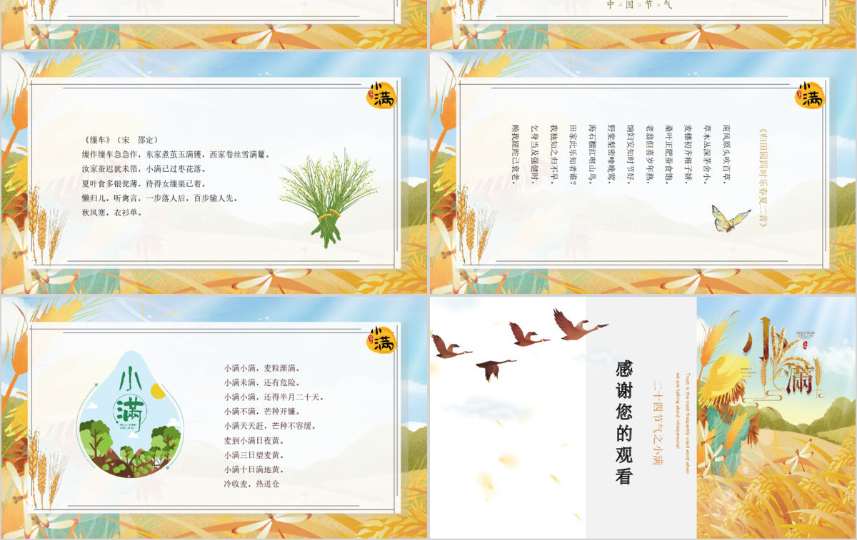简约麦穗二十四节气之小满ppt模板