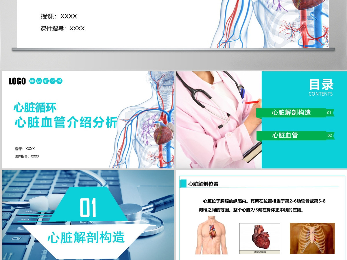 完整内容心脏健康医学解剖研究PPT模板素材下载 完整内容心脏健康医学解剖研究PPT模板素材下载