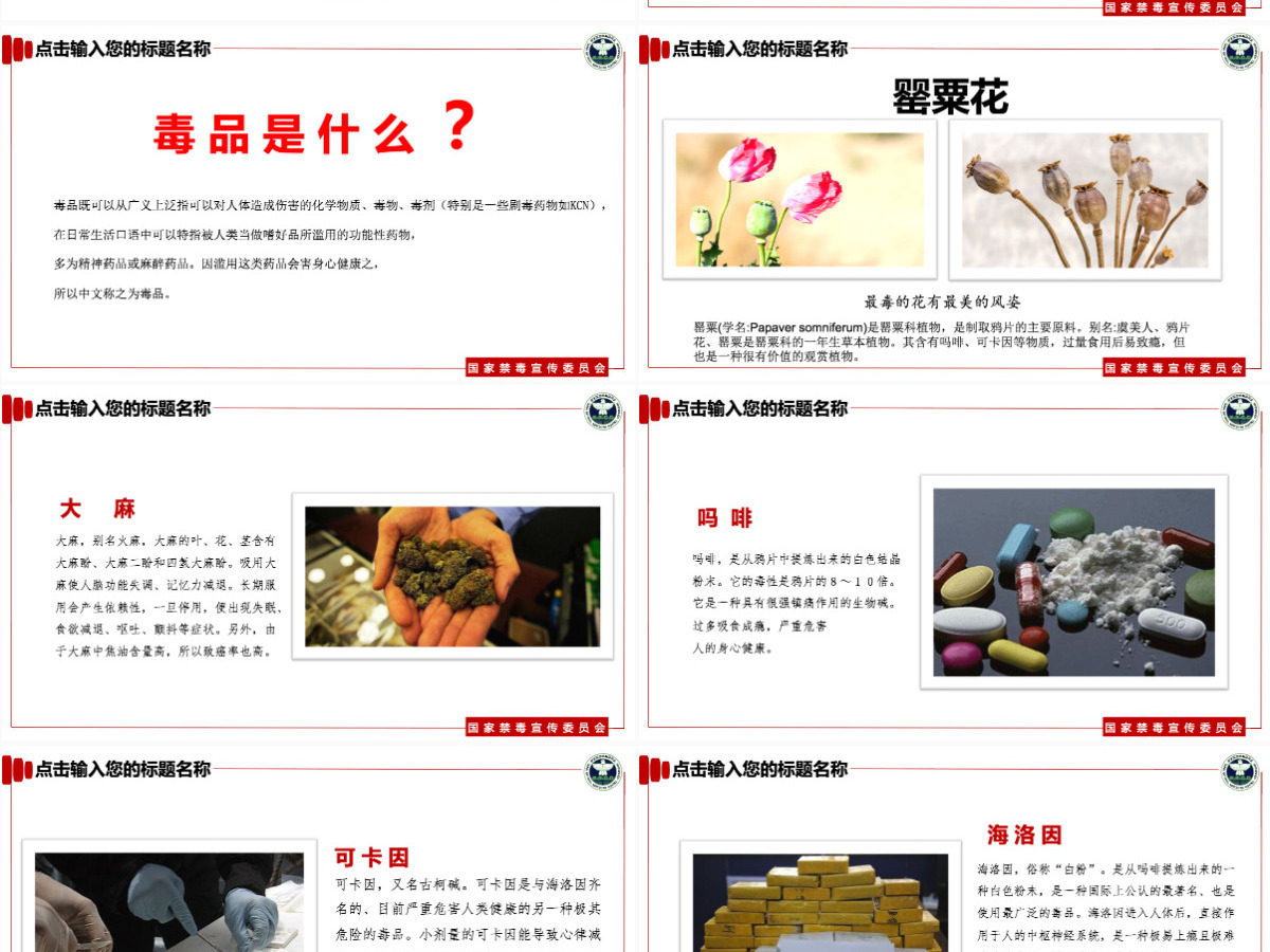 【完整内容】国际禁毒日珍爱生命远离毒品禁毒知识教育PPT课件模板