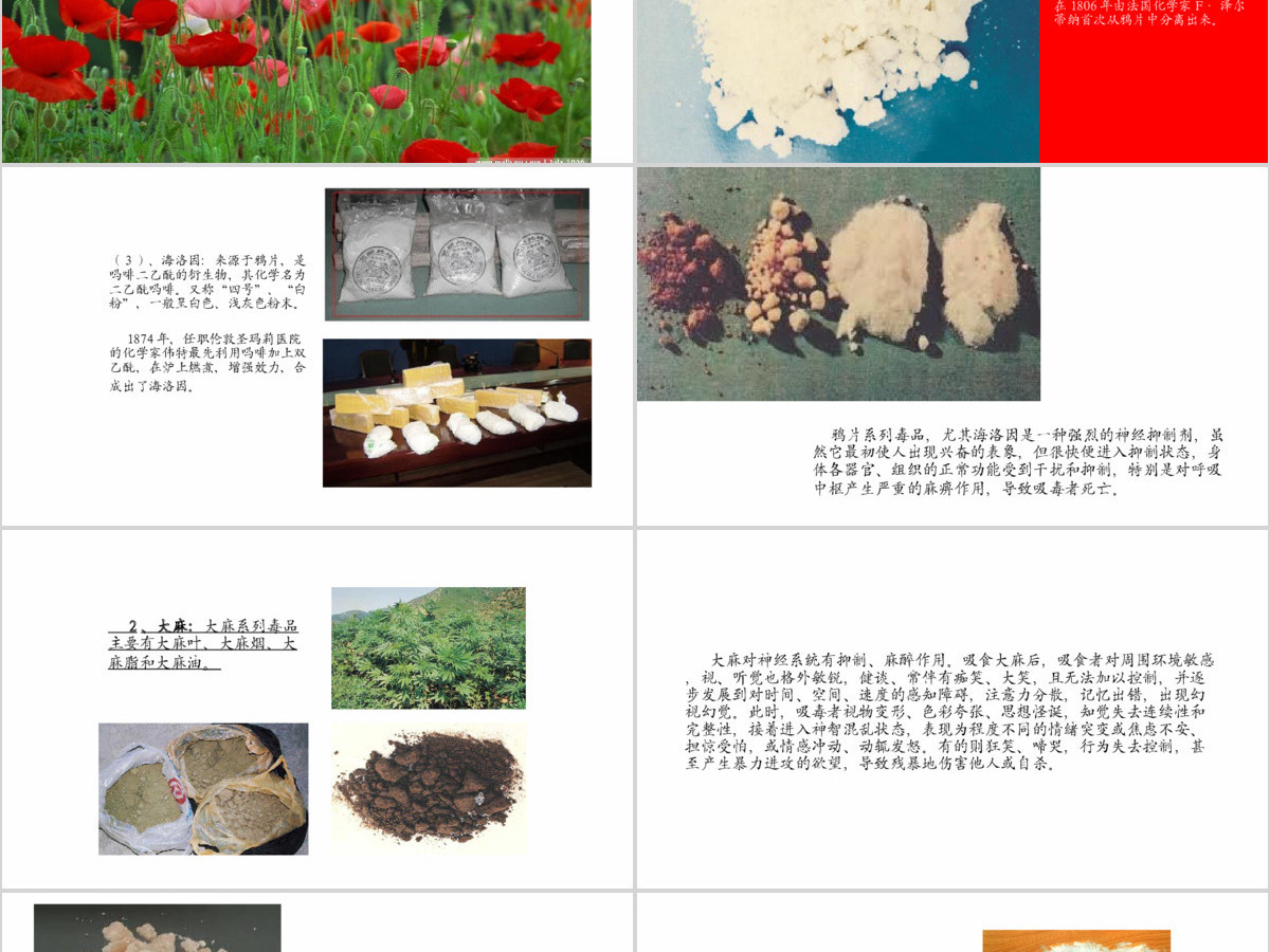 国际禁毒日禁毒委员会2016年工作总结计划PPT