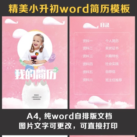 小升初简历