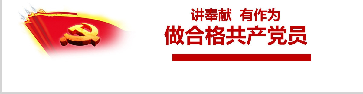 党建做合格党员讲奉献有作为ppt模板-含讲稿