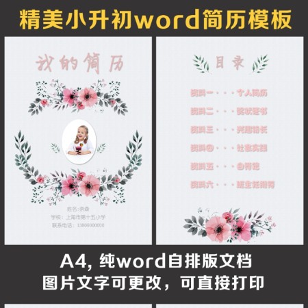 小升初简历