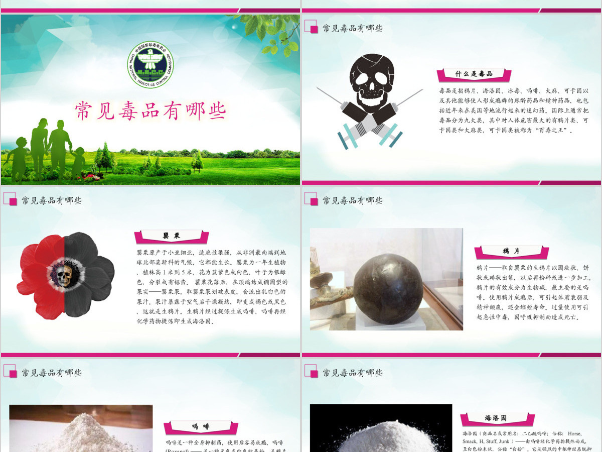 原创2019国际禁毒日宣传介绍主题班会ppt-版权可商用