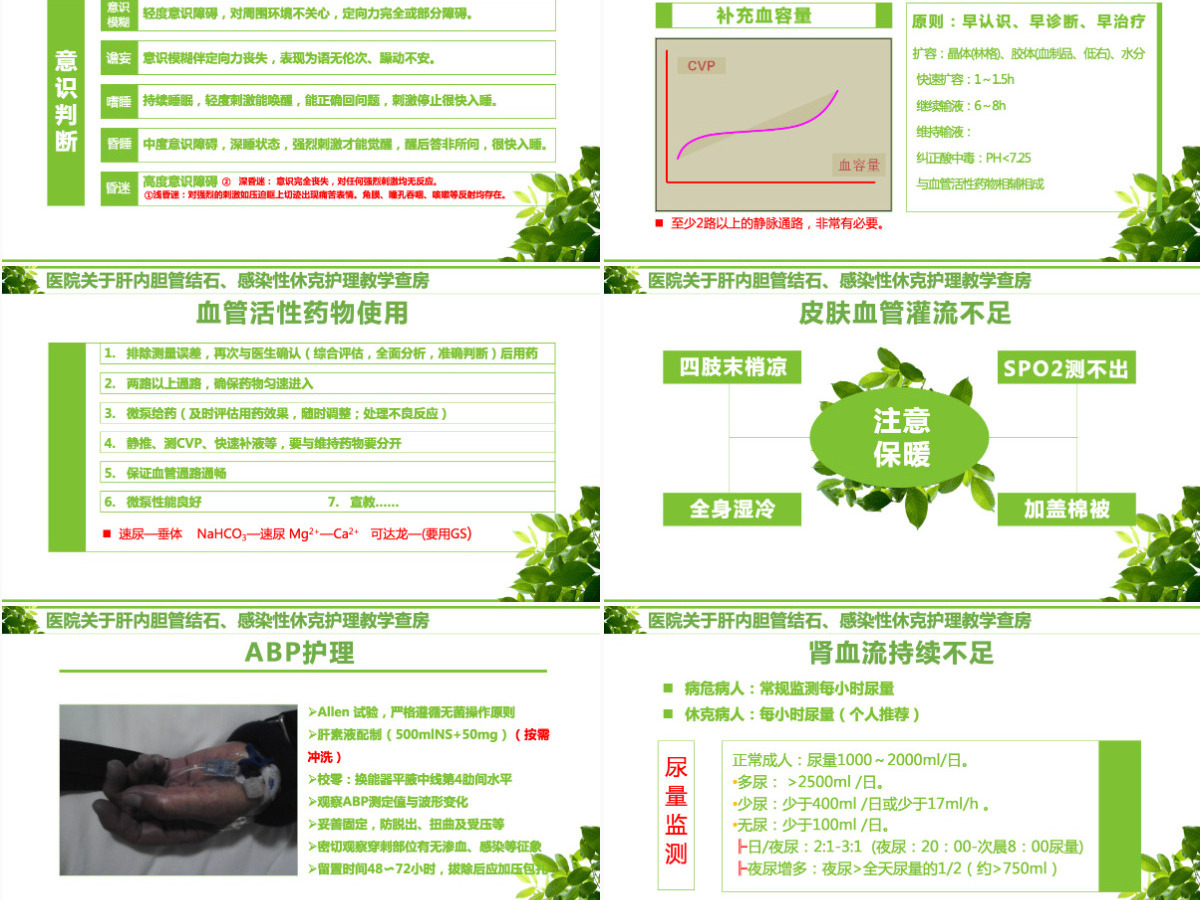 感染性休克肝胆内结石护理教学查房PPT模版