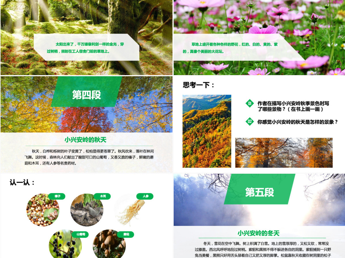 三年级语文美丽的小兴安岭课件PPT模板 三年级语文美丽的小兴安岭课件PPT模板