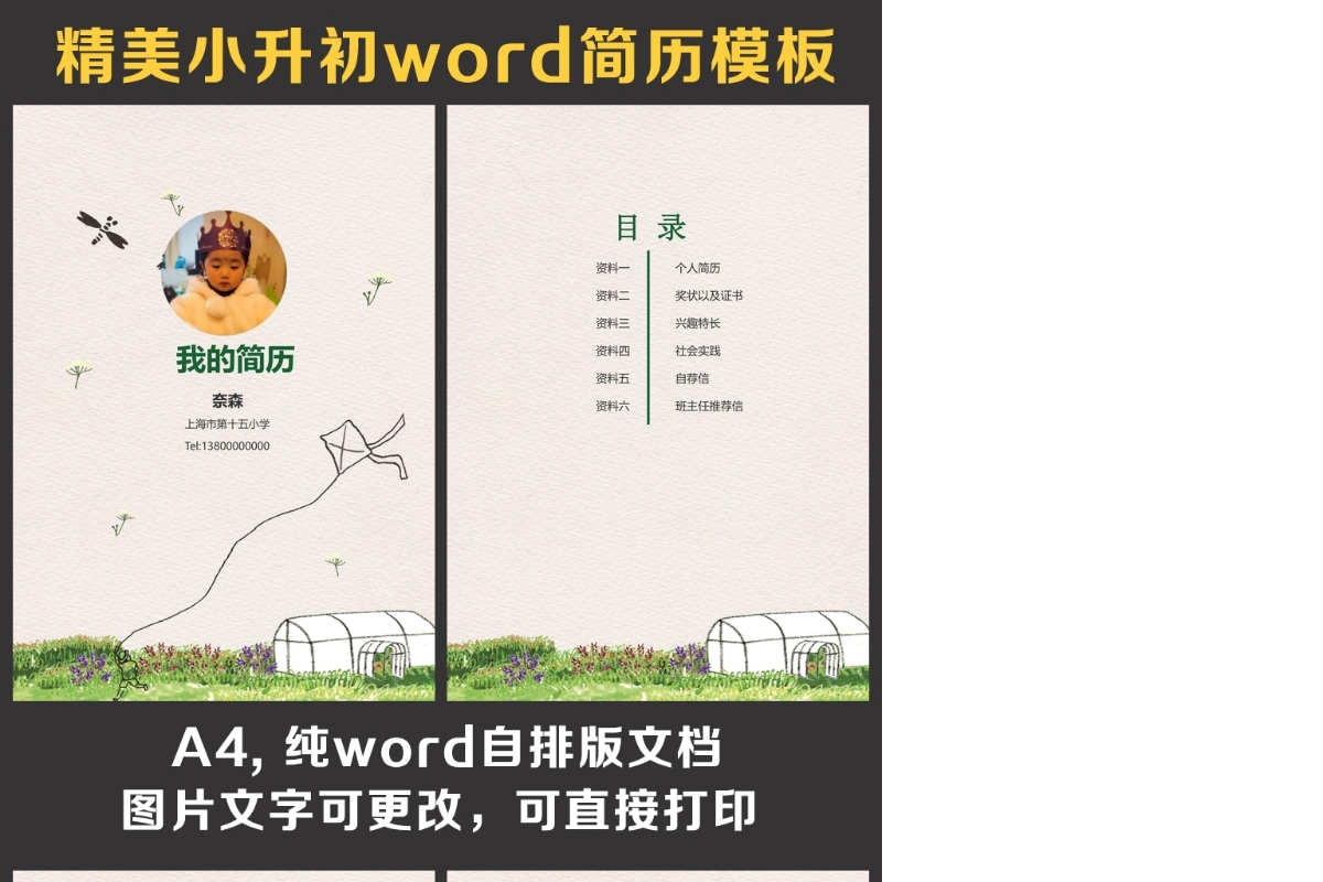 小升初简历