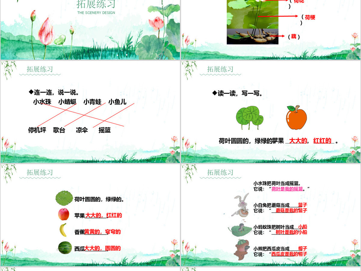 人教版小学一年级语文下册第四章课文：第十三课——荷叶圆圆（含配套教案）课件PPT
