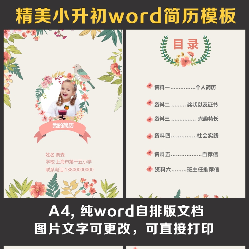 小升初简历