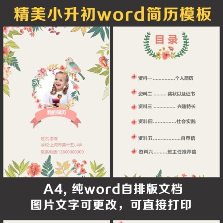小升初简历
