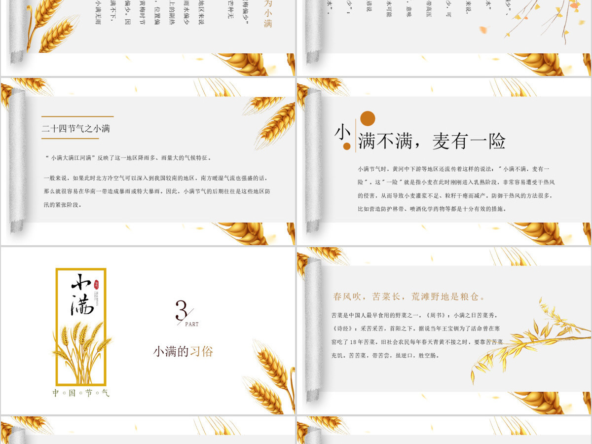 简约风麦穗中国二十四节气小满介绍PPT模板 简约风麦穗中国二十四节气小满介绍PPT模板