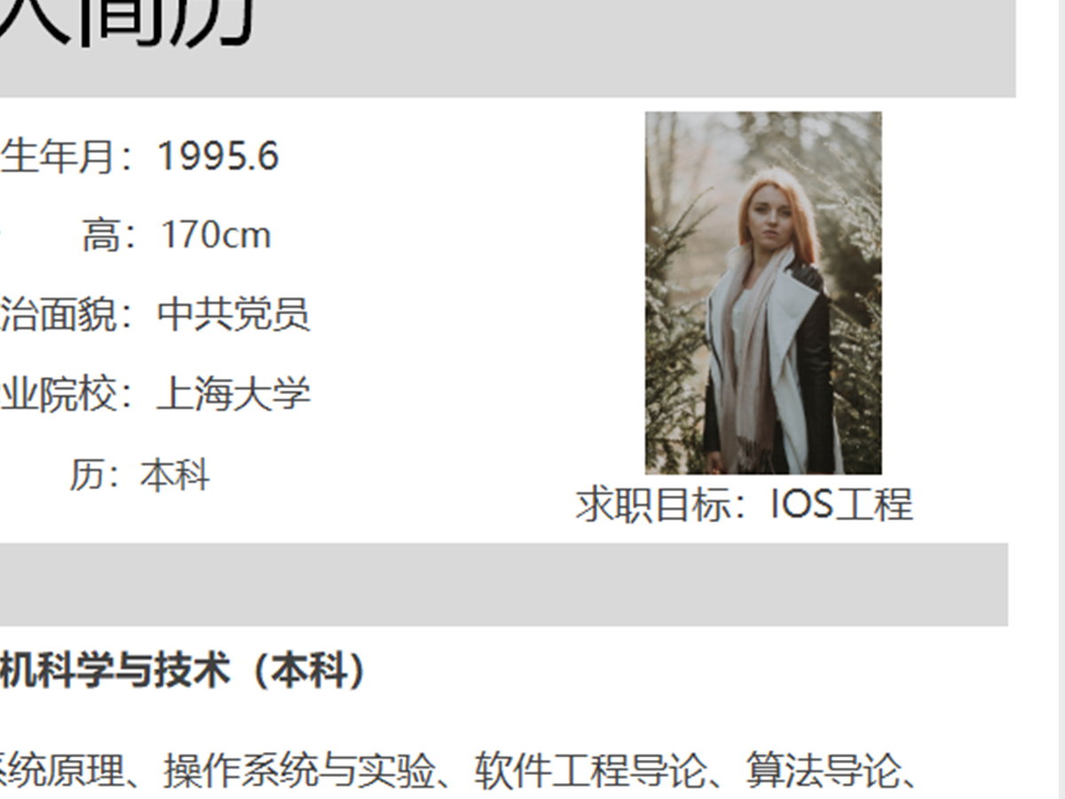 灰色ios工程师Excel简历模板表格 灰色ios工程师Excel简历模板表格