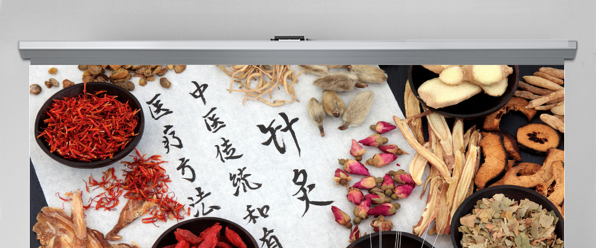 医生医疗中医药房中药工作总结PPT模板幻灯片