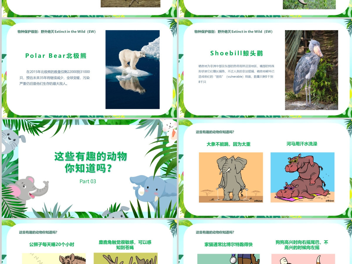 2024世界动物日ppt绿色卡通保护动物我们应该怎么做学生主题班会课件下载
