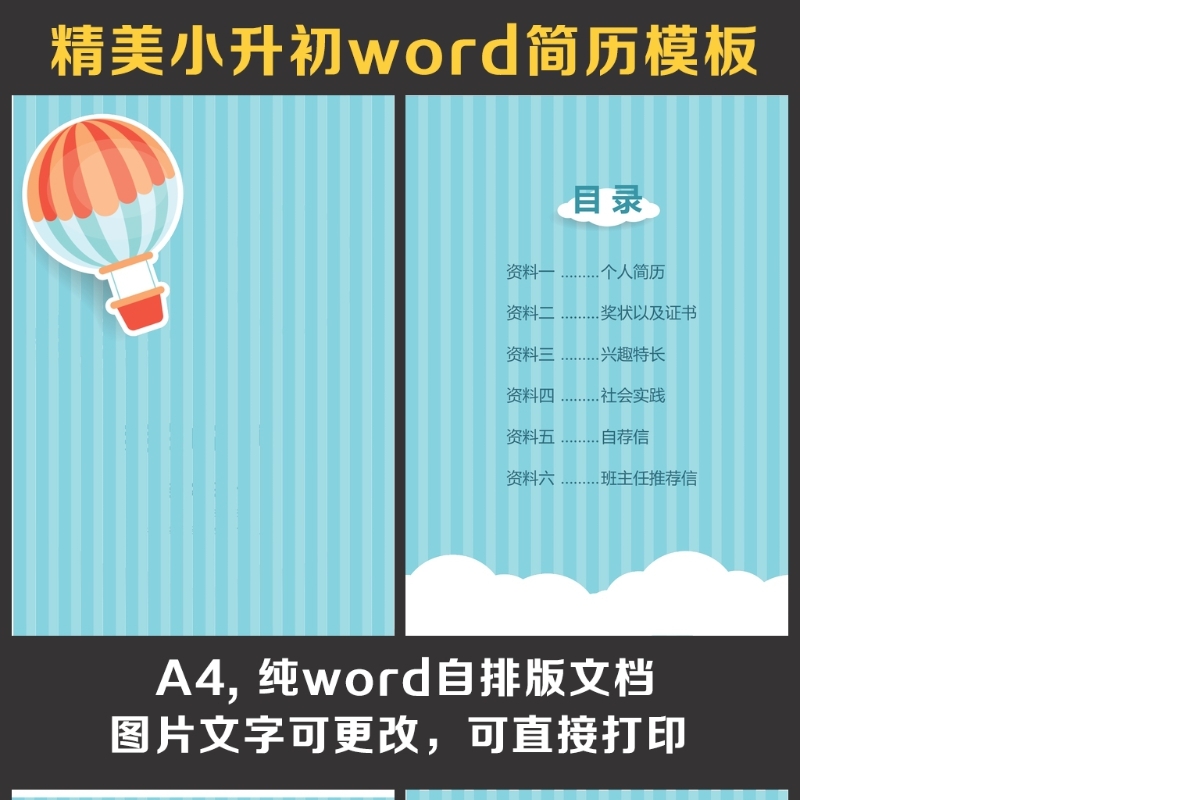 小升初简历