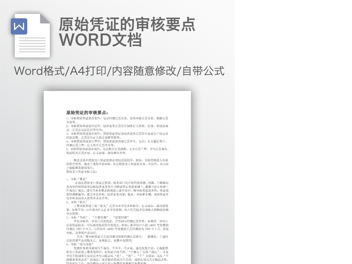 原始凭证的审核要点WORD文档