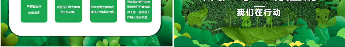 2022保护野生动植物卡通简约风世界野生动植物日知识介绍课件模板PPT