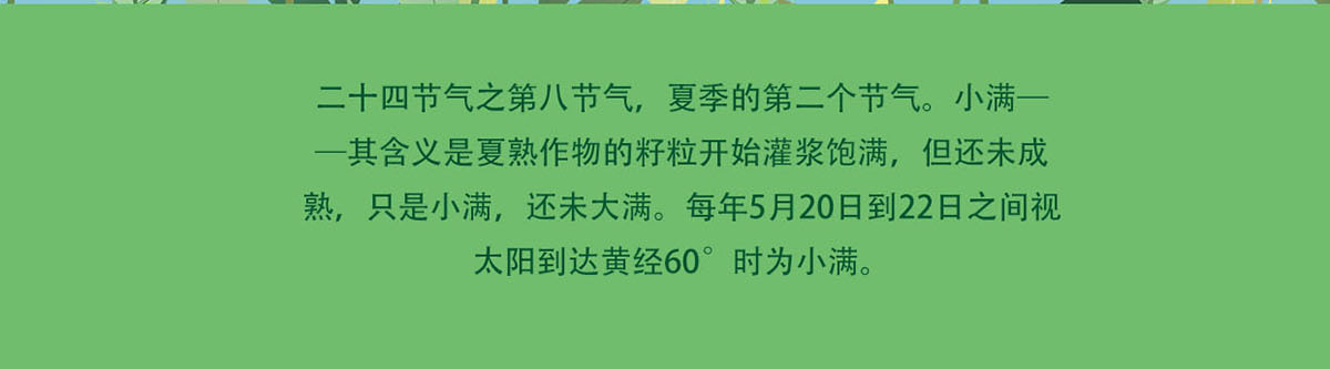  2022年二十四节气小满海报设计