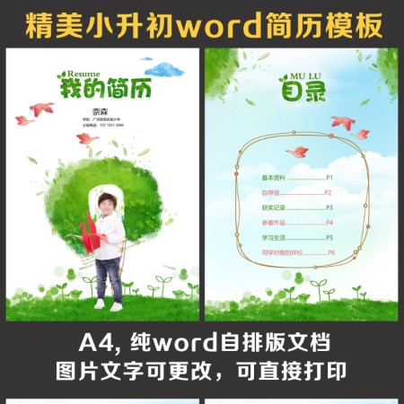 小升初简历