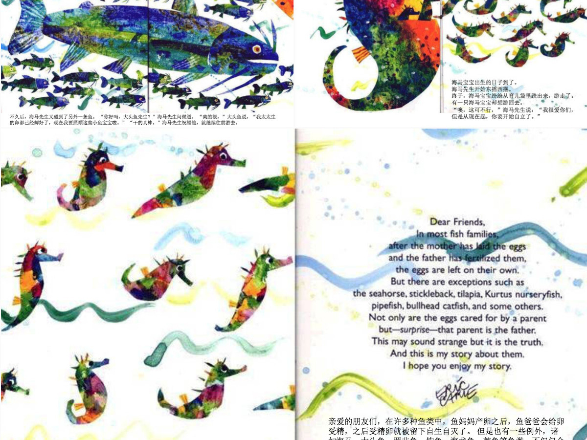 海马先生幼儿绘本教育课件