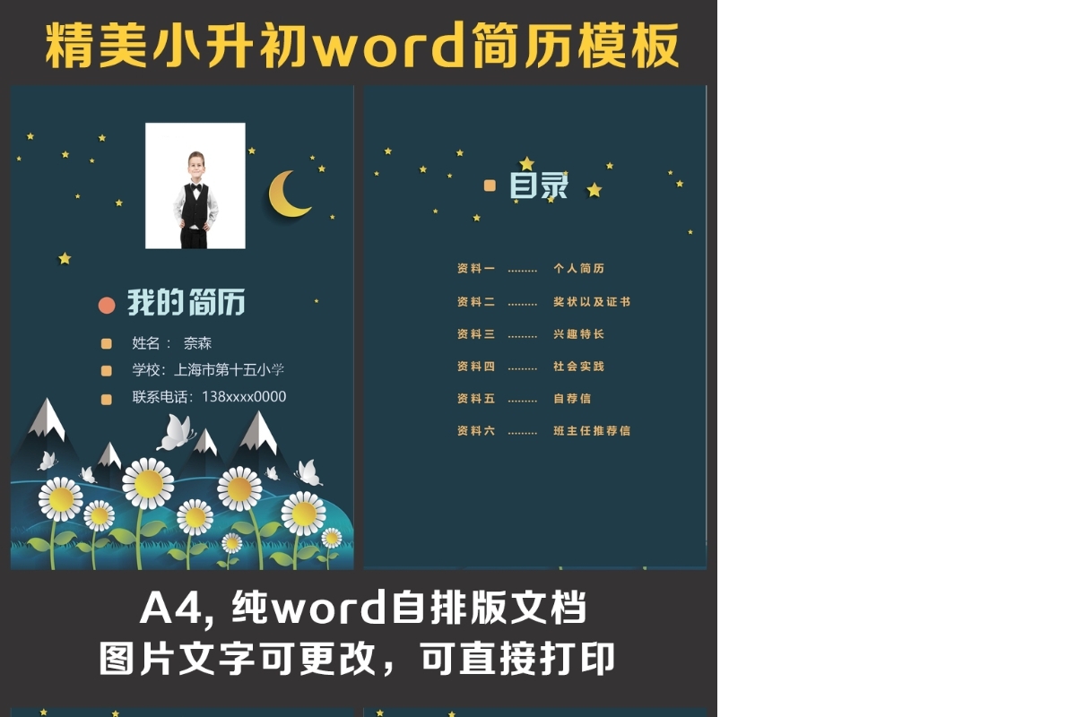 小升初简历