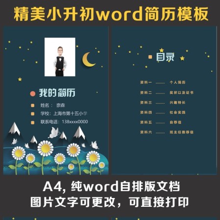 小升初简历