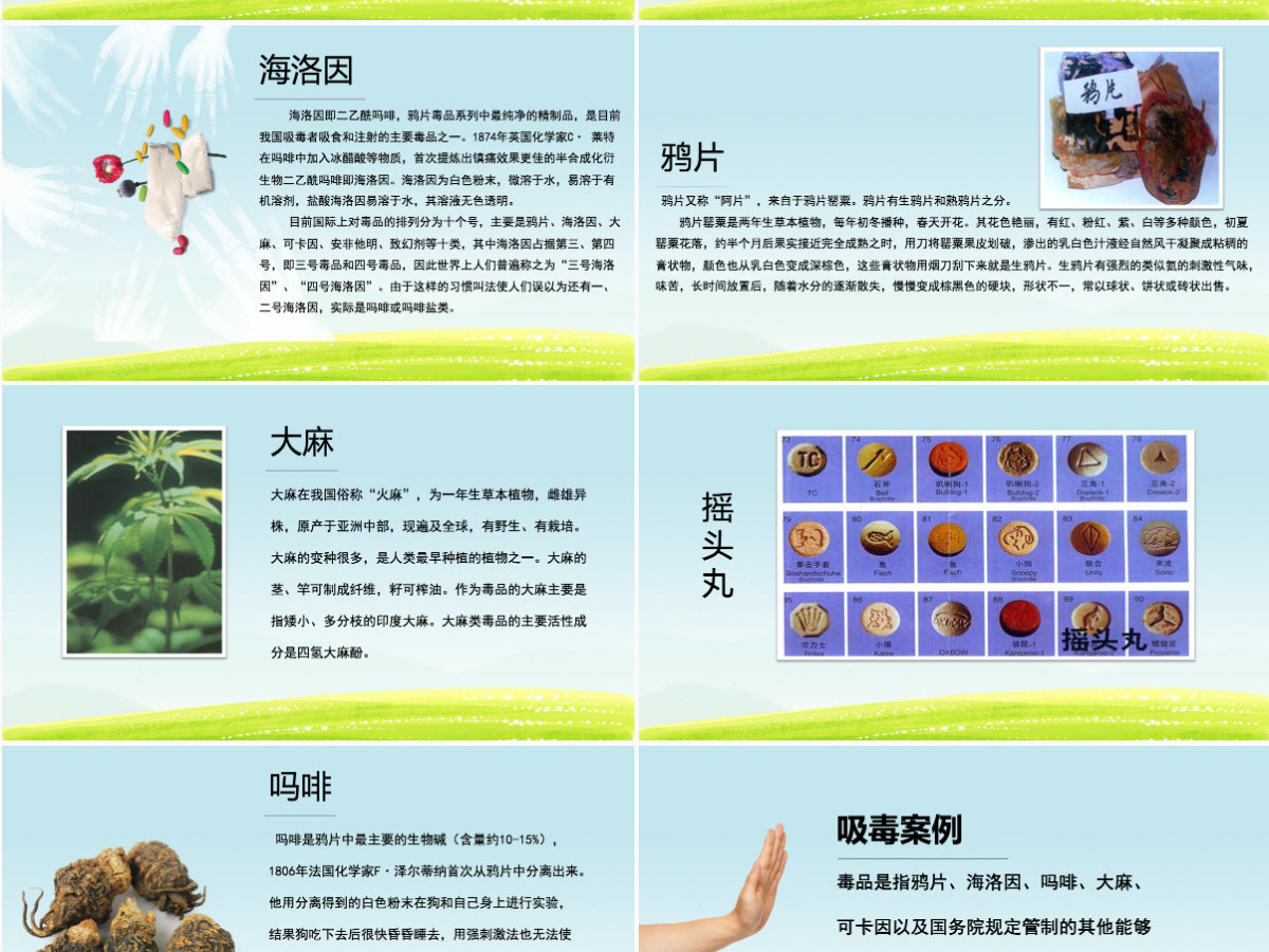 国际禁毒日无毒青春健康生活青少年毒品预防教育主题班会PPT模板 国际禁毒日无毒青春健康生活青少年毒品预防教育主题班会PPT模板