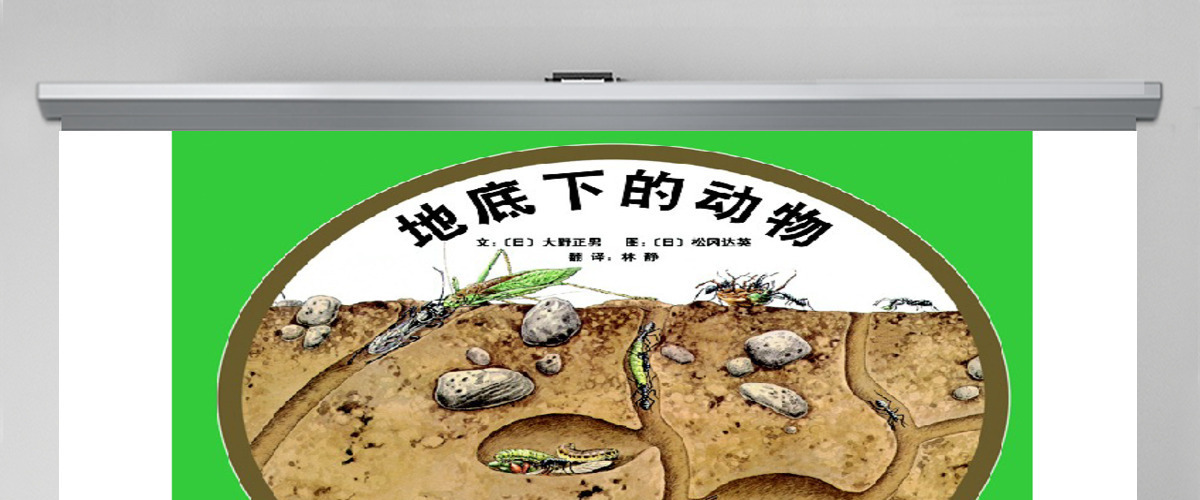 地底下的动物幼儿绘本教育课件