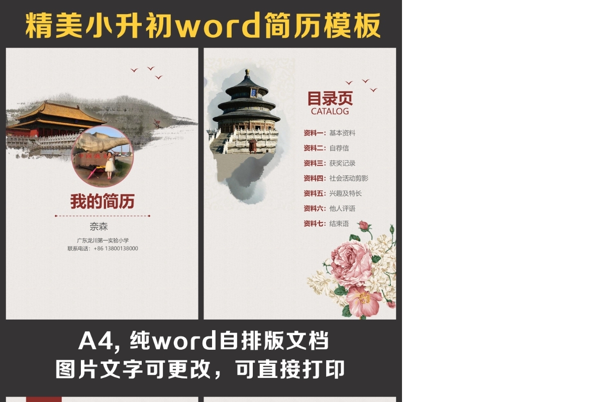 小升初简历