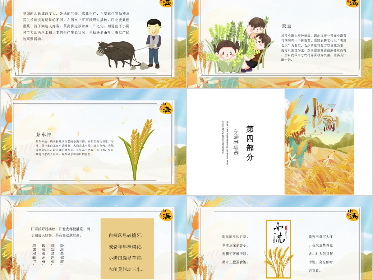 简约麦穗二十四节气之小满ppt模板