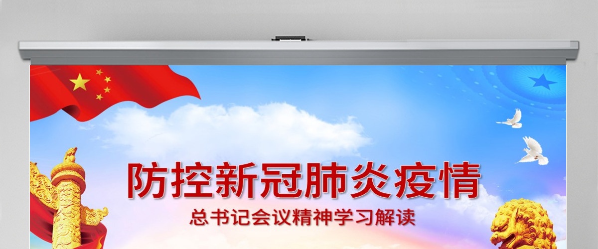 疫情党课防控新型冠状病毒肺炎会议党课PPT