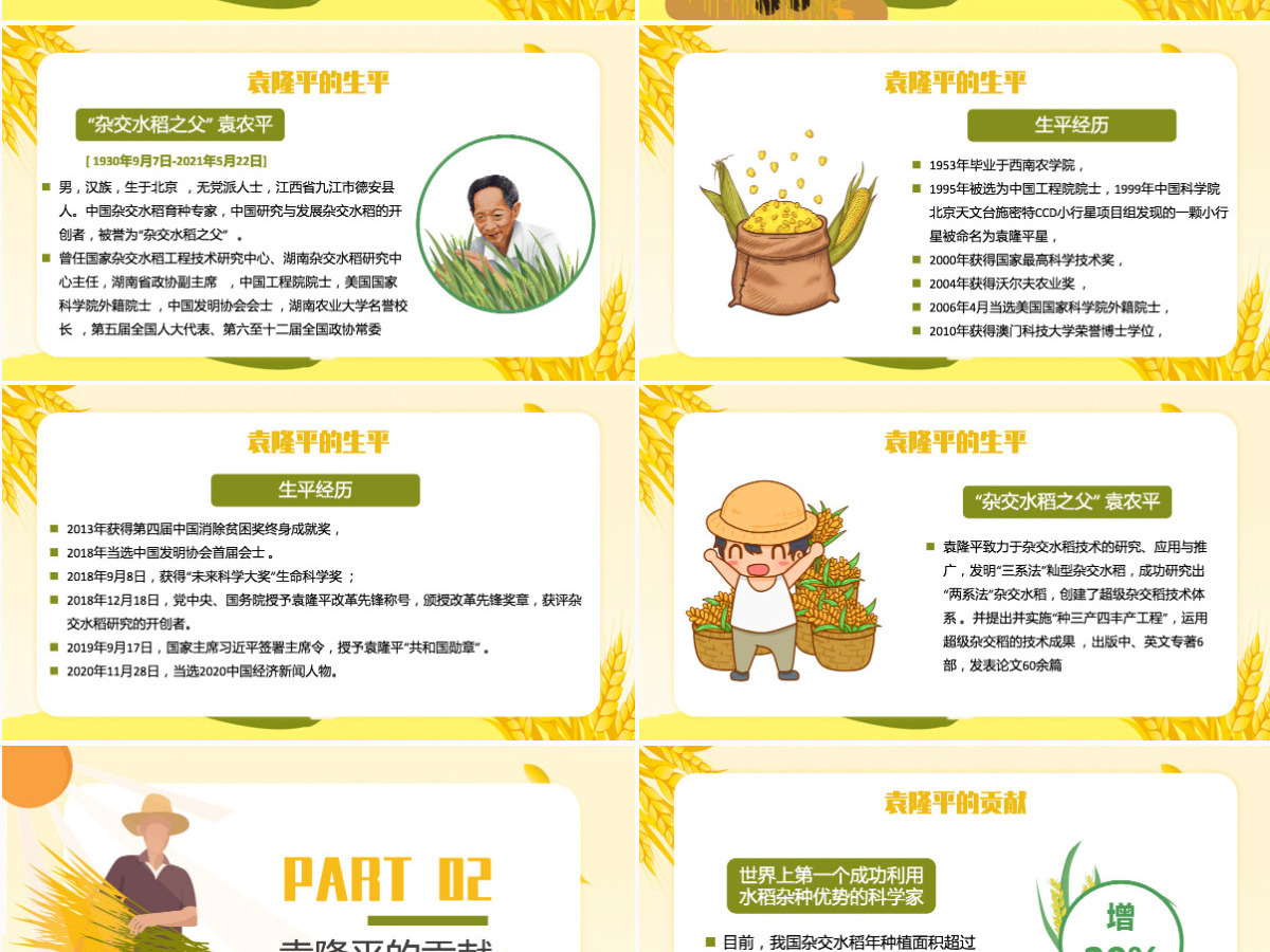 济天下精神永传传承杂交水稻之父—袁隆平精神小学卡通专题