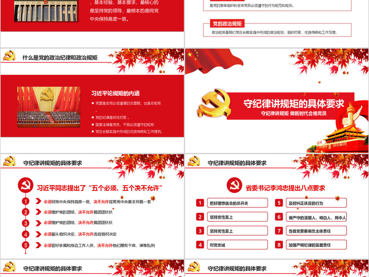 新时代合格党员守规矩讲纪律PPT模板