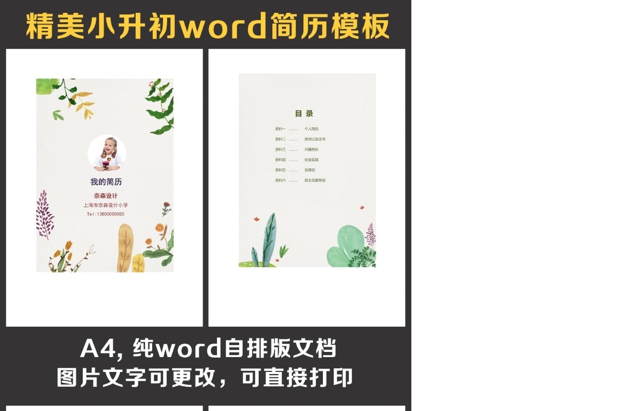 小升初简历