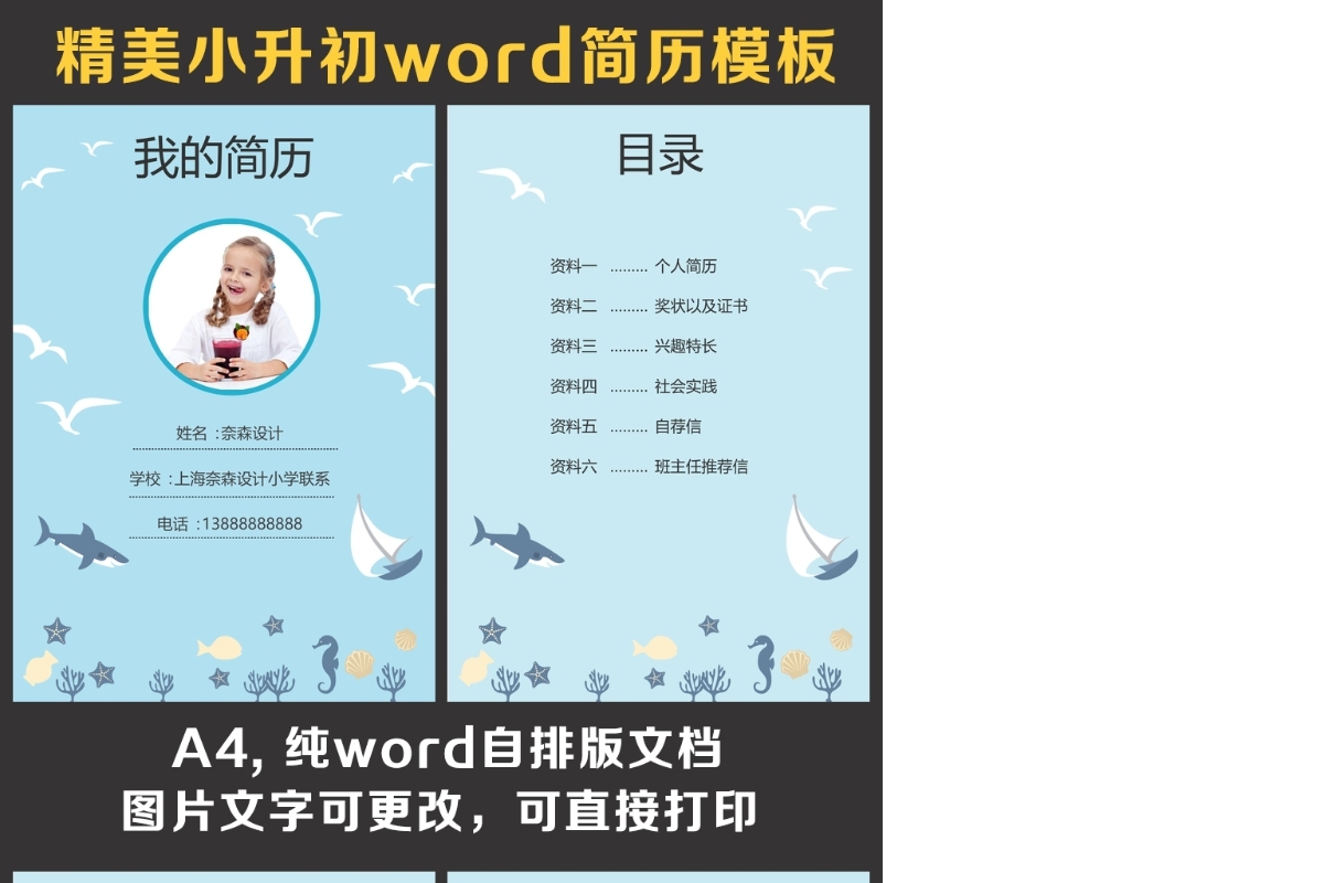 小升初简历