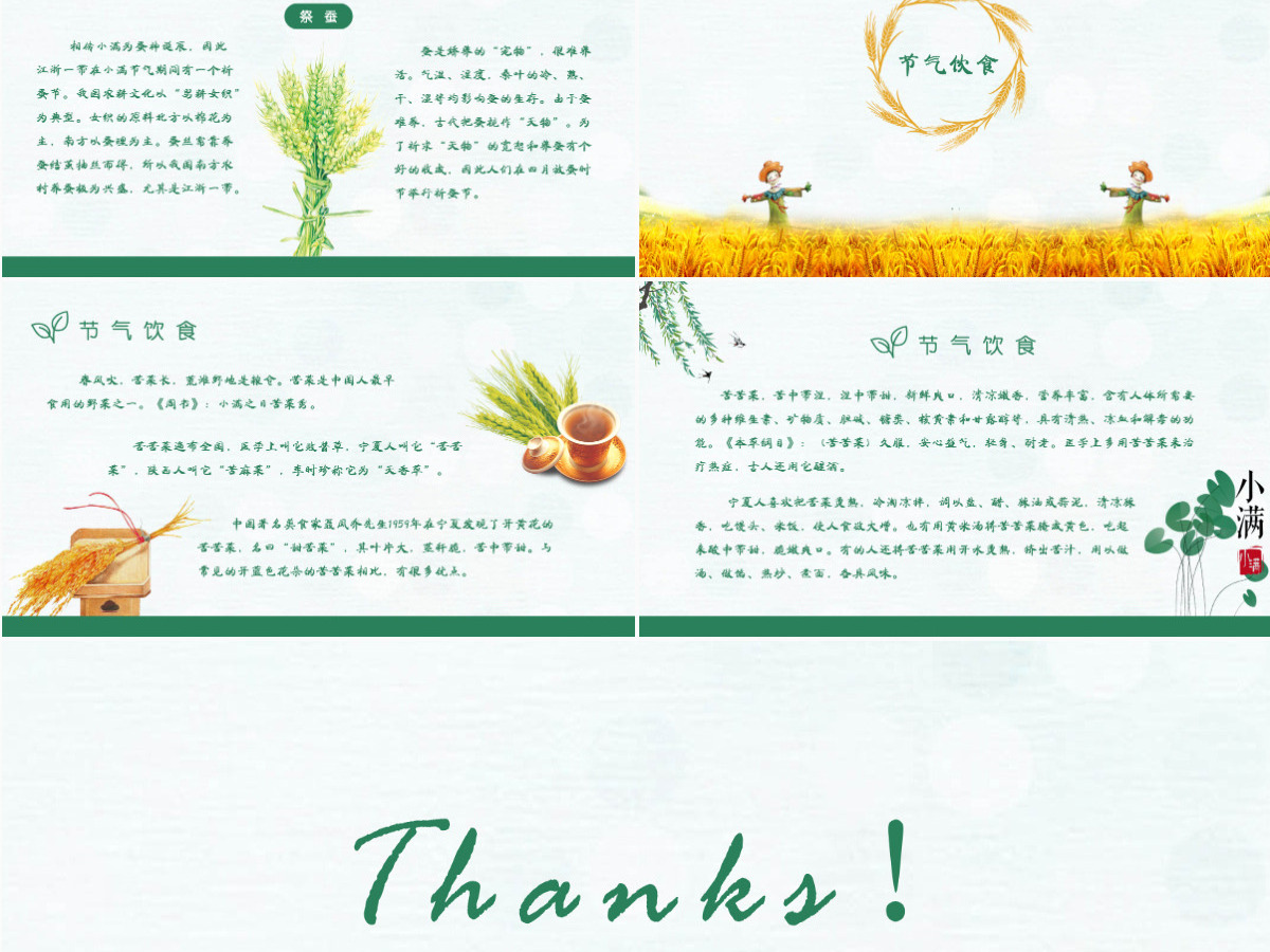 中国风麦穗二十四节气小满介绍PPT模板 中国风麦穗二十四节气小满介绍PPT模板