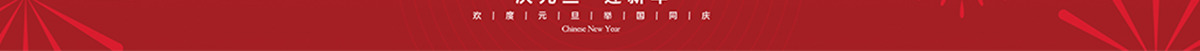 红色烟花庆元旦迎新年2025元旦海报